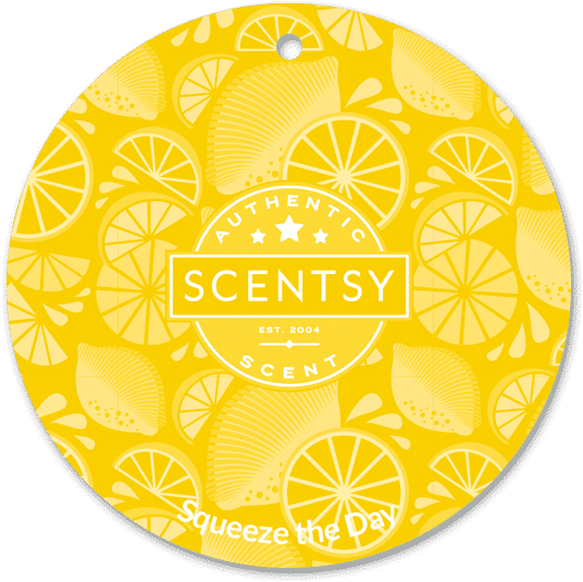 Scentsy Squeezethe Day Car Bar Circle