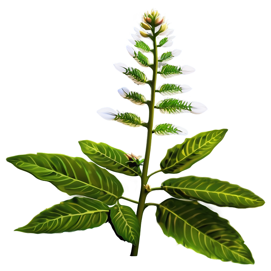 Science Botany Plants Png 60