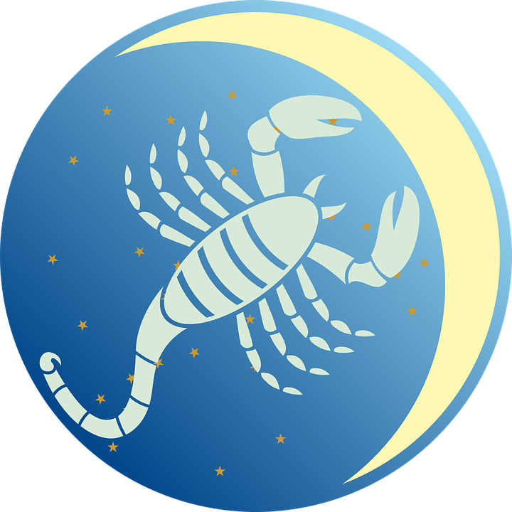 Scorpio Zodiac Symbol Illustration