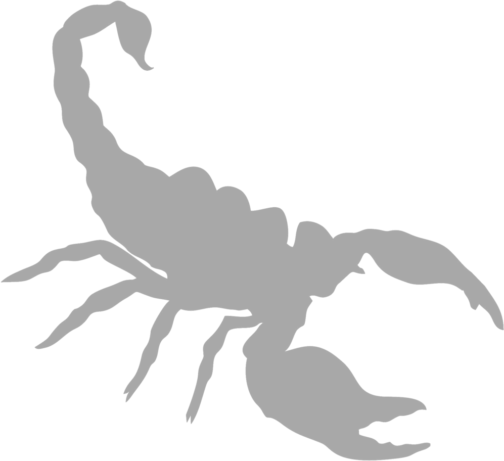 Scorpion Silhouette Graphic