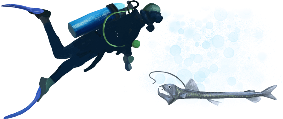 Scuba Diverand Swordfish Encounter