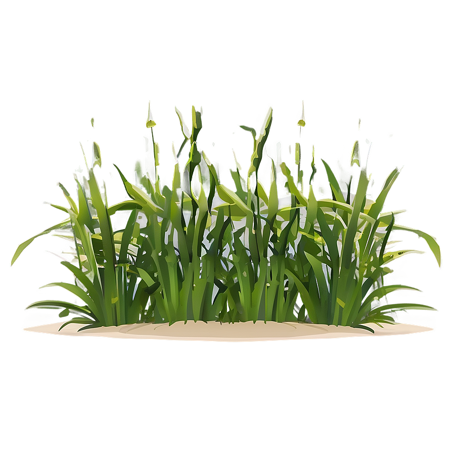 Seagrass Cartoon Png 49