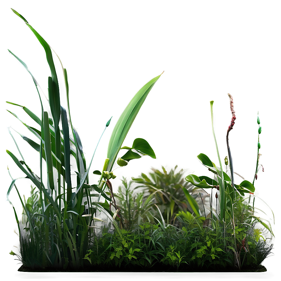 Seagrass Landscape Png Ouo