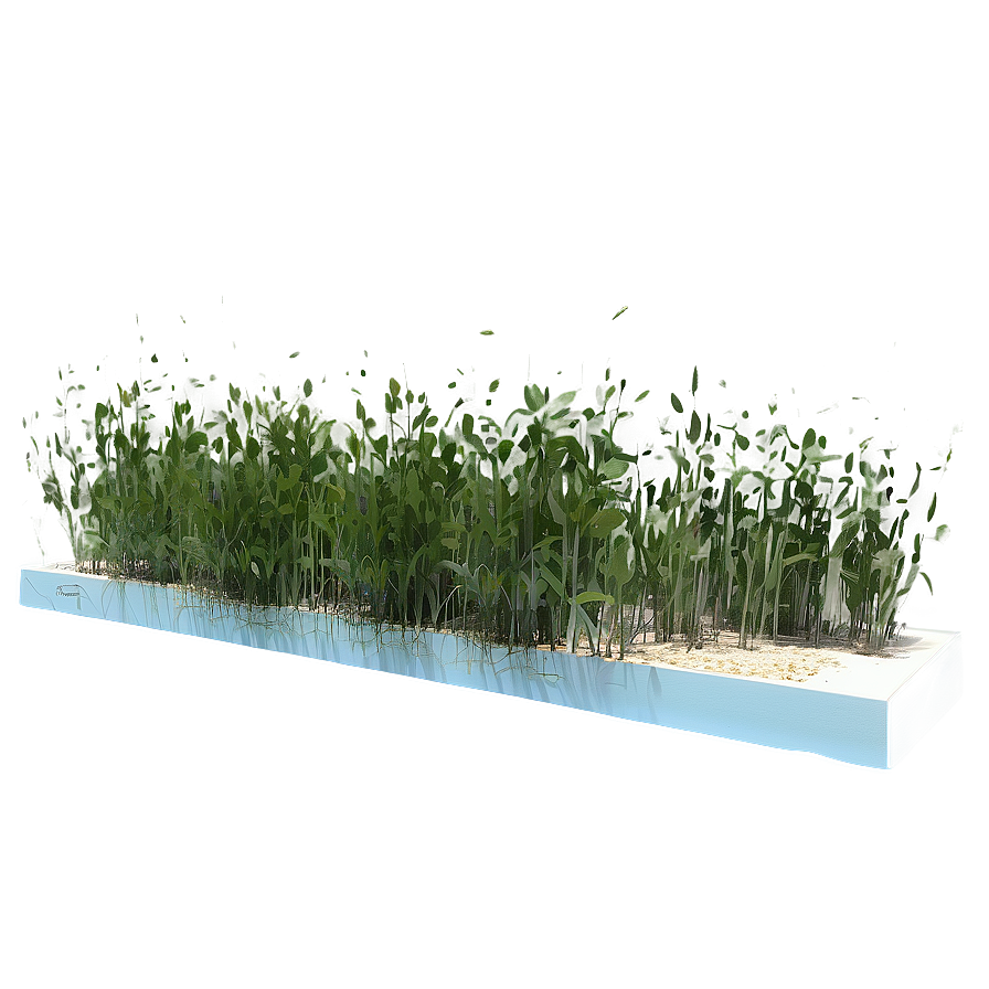 Seagrass Meadow Png 73