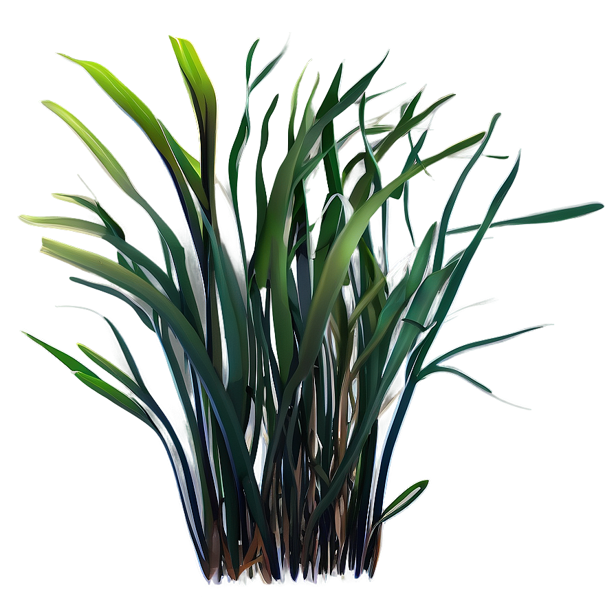 Seagrass Vector Png 9