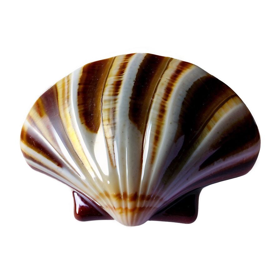 Seashell Mosaic Art Png 16