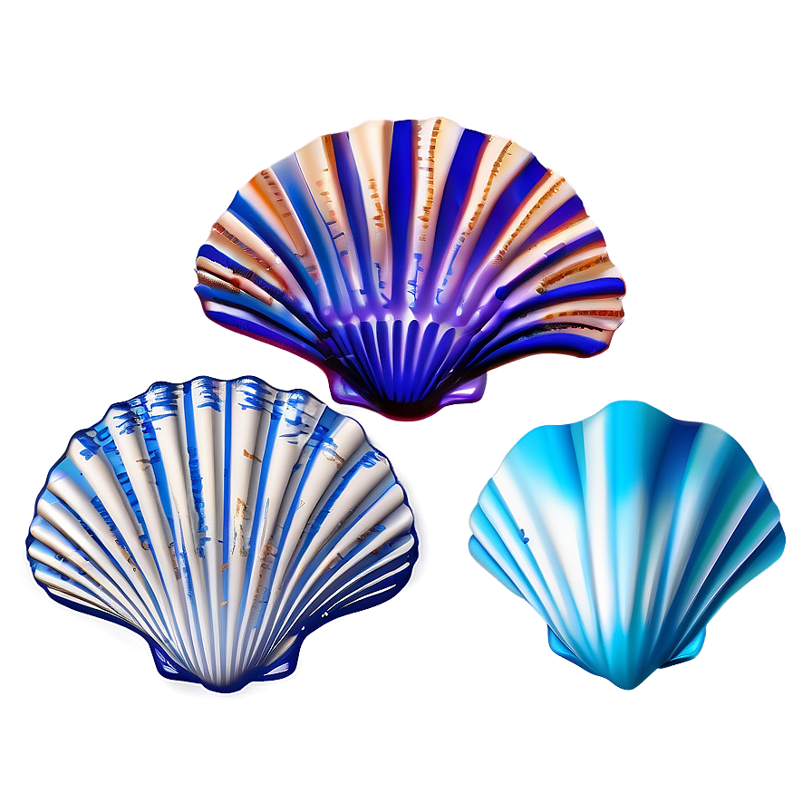 Seashell Sketches Png Jrq