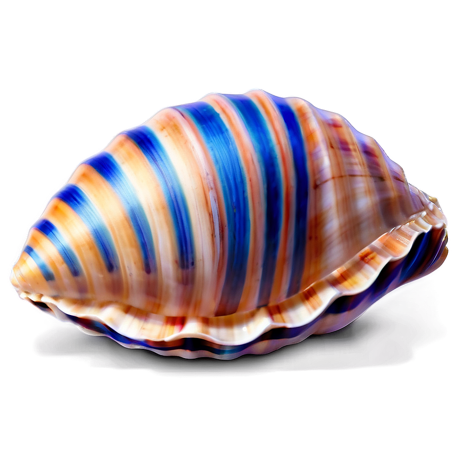 Seashell Summer Png 06132024