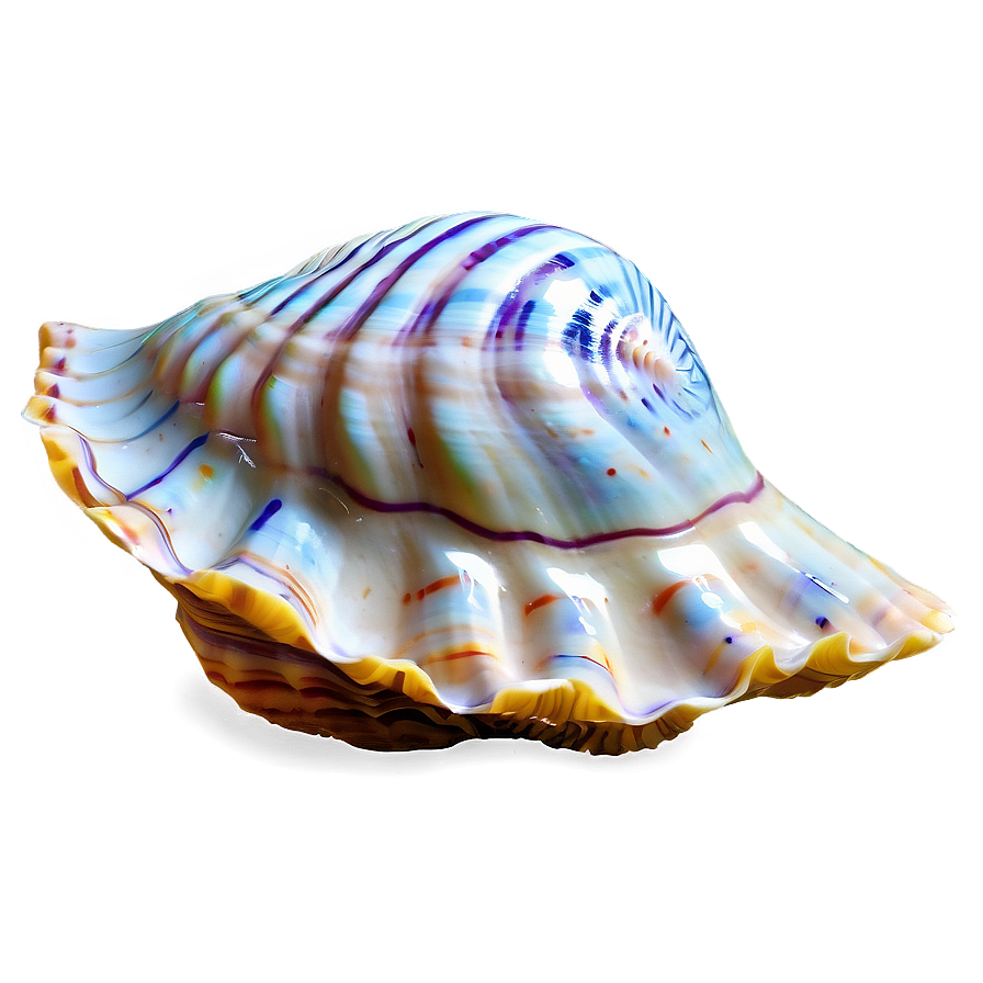 Seashell Underwater Picture Png 23