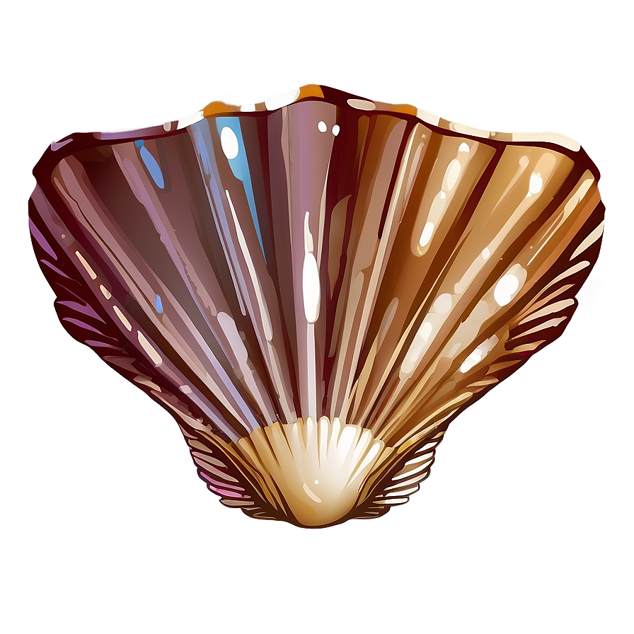 Seashell Vector Art Png Kef75