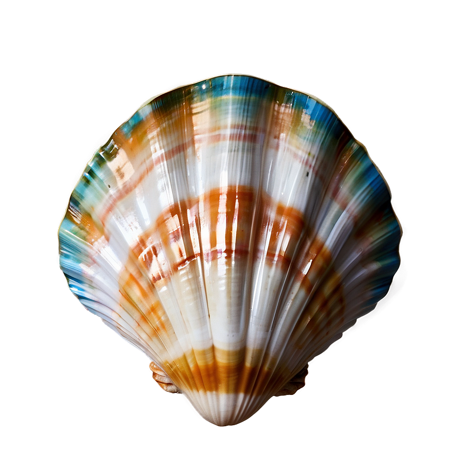 Seashell Wedding Decoration Png 05242024