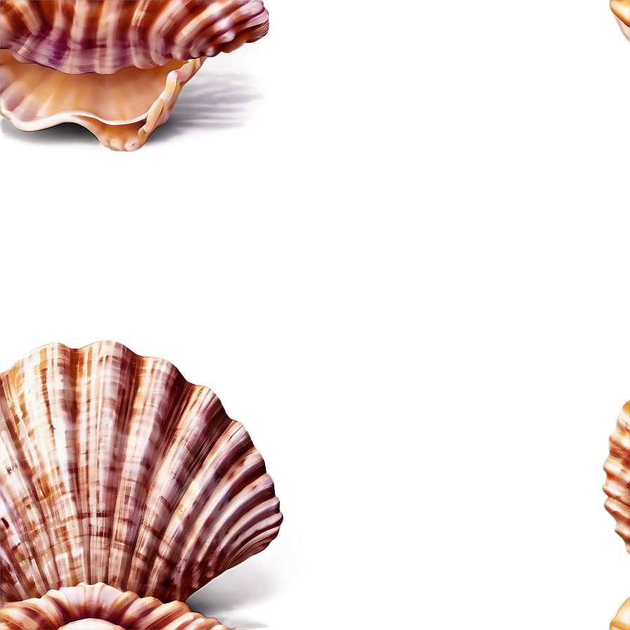 Seashell With Ocean Background Clipart Png Wws76