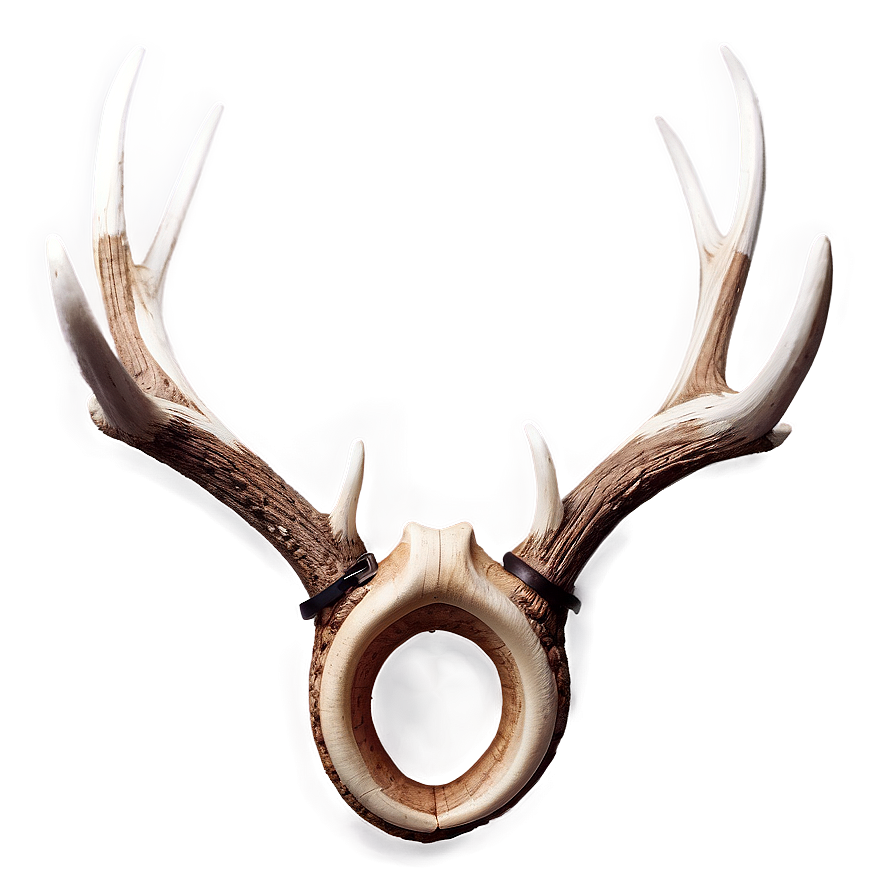 Seasonal Deer Antler Png Nqj98