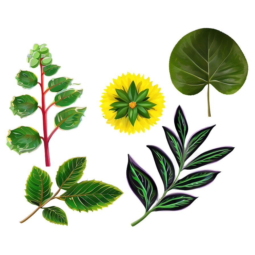 Seasonal Plants Png Rub