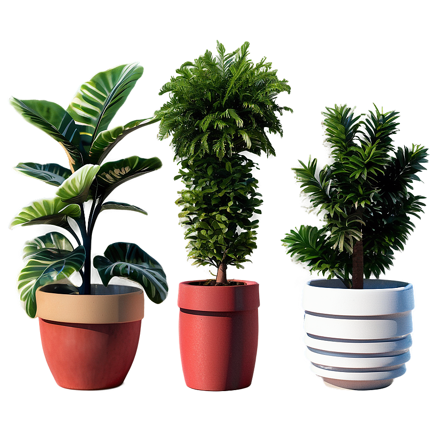 Seasonal Potted Plants Png 06122024