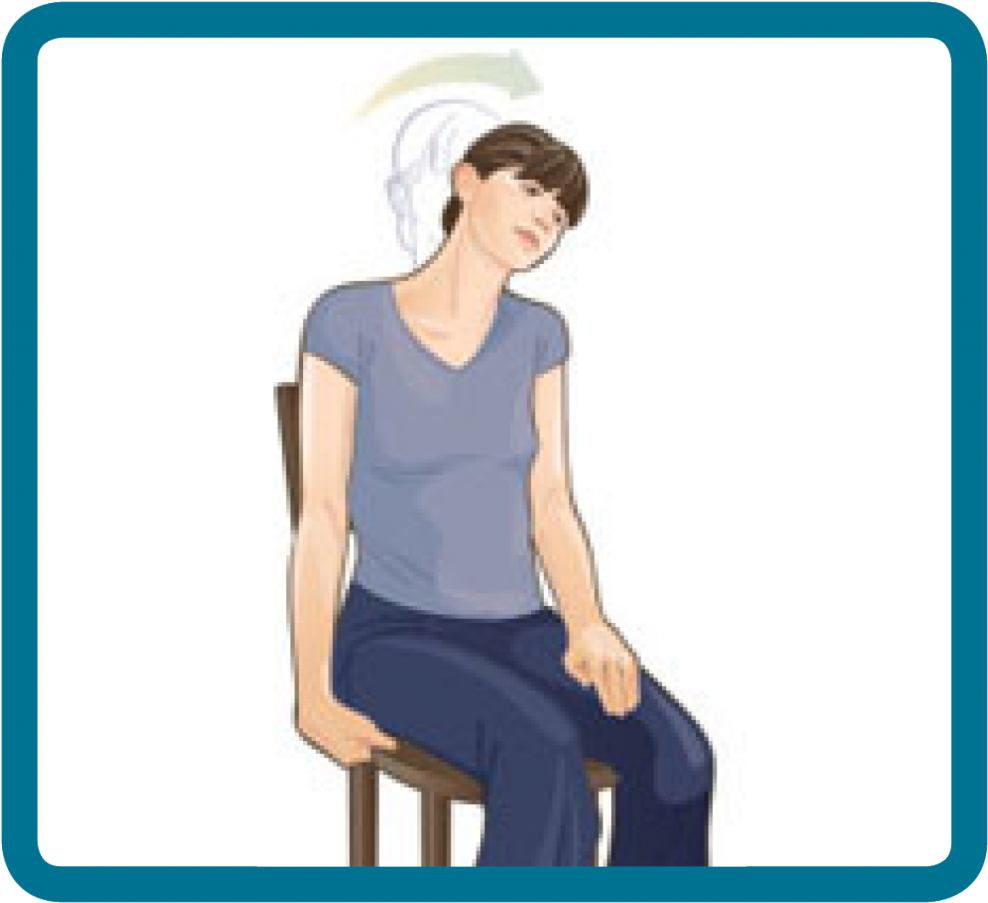 Seated Neck Stretch Illustration