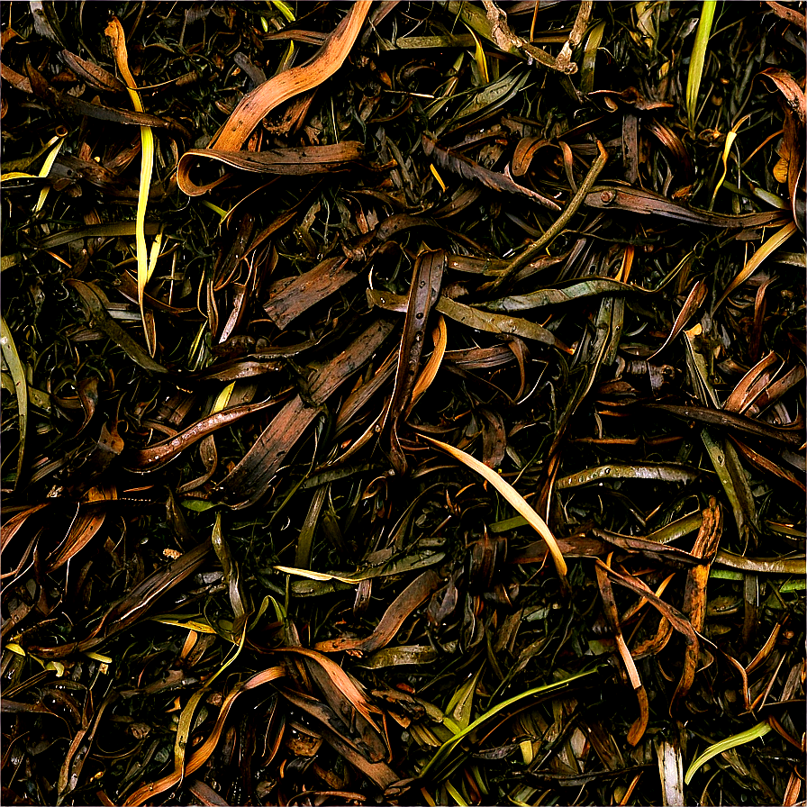 Seaweed And Salt Marsh Mulch Png Qtd42