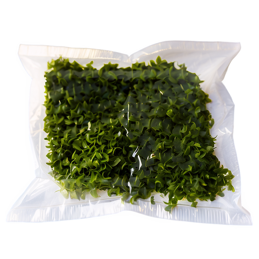 Seaweed Eco-friendly Packaging Png 05242024