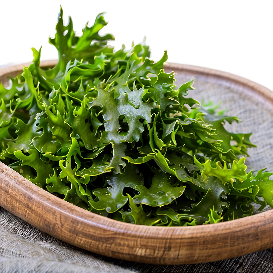 Seaweed Nutritional Benefits Png 33