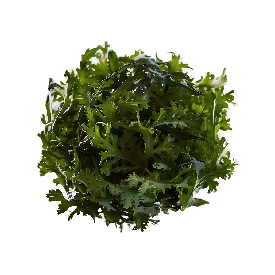 Seaweed Salad Ingredient Png 3