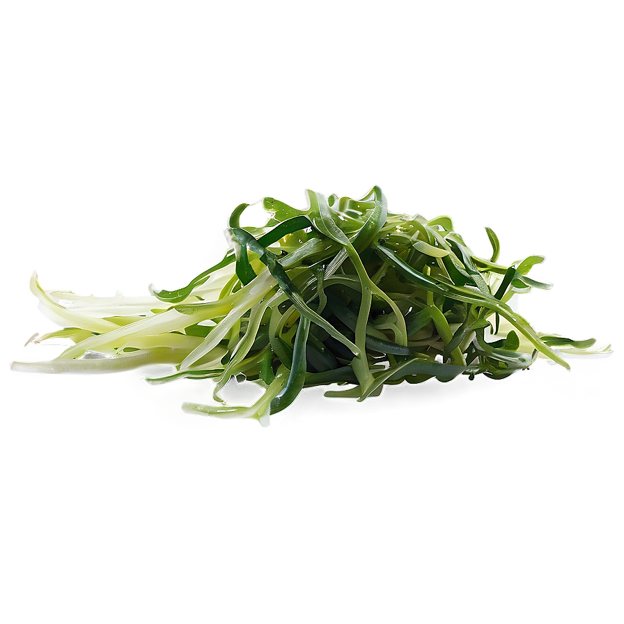 Seaweed Salad Ingredient Png 64