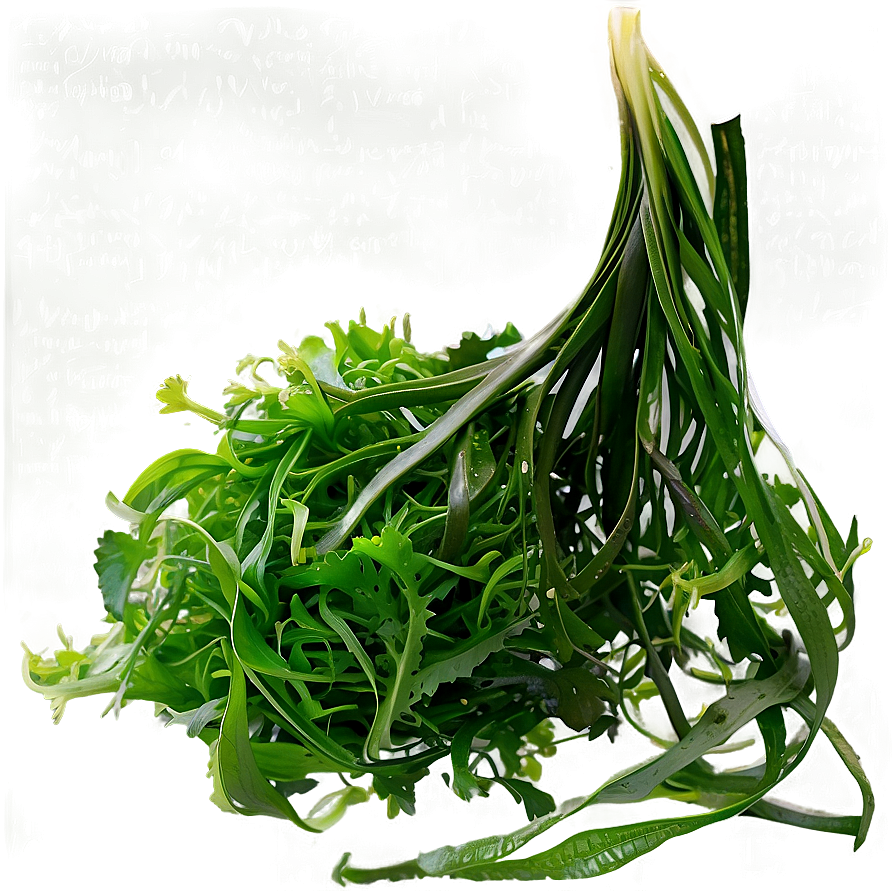 Seaweed Salad Ingredient Png Qfy