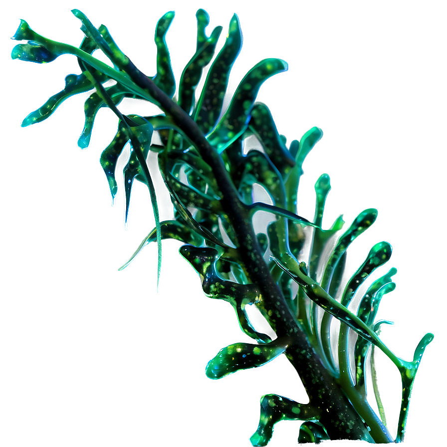 Seaweed Strand Texture Png 71