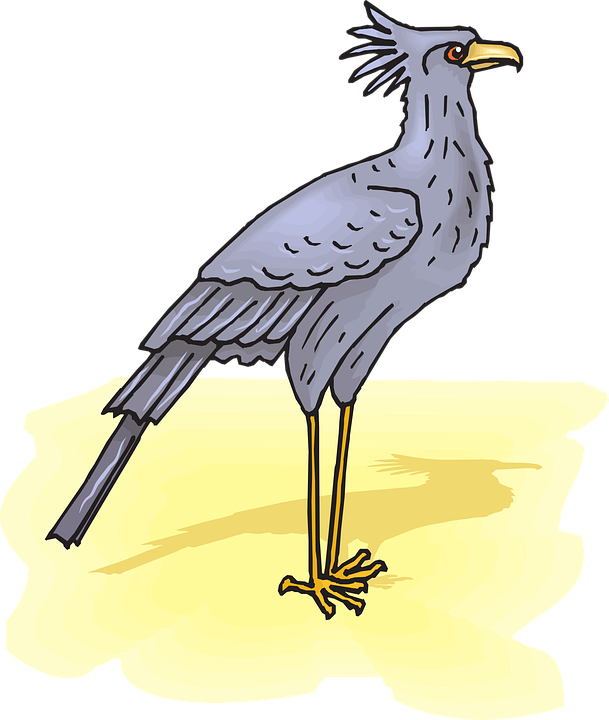 Secretary Bird Illustration