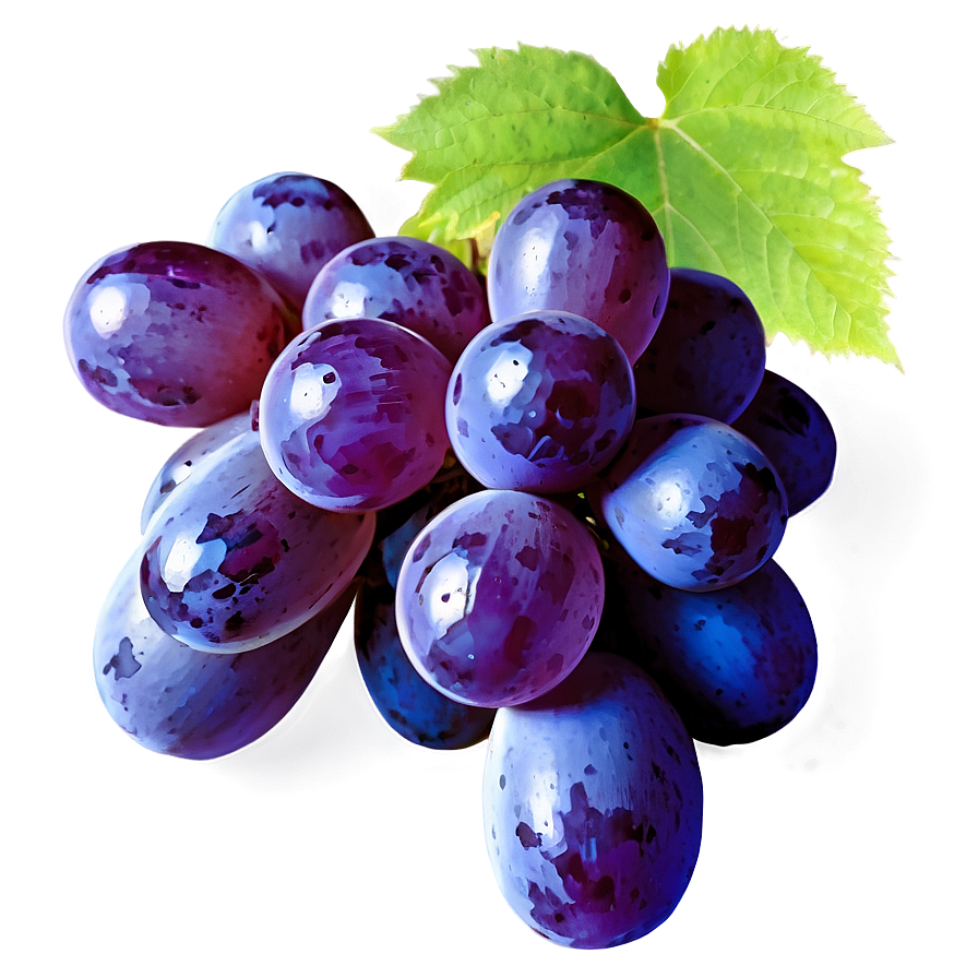 Seedless Grape Png 39