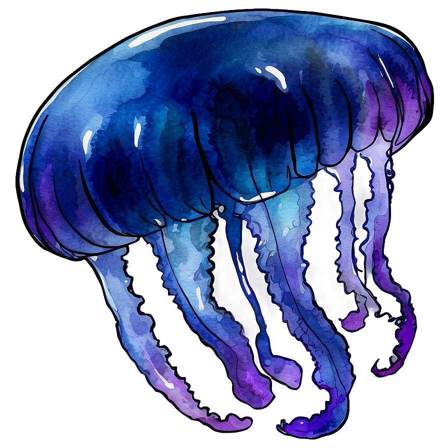 Serene Moon Jelly Watercolor Png Whh2