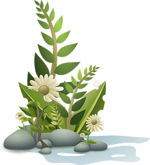 Serene Nature Vector Illustration