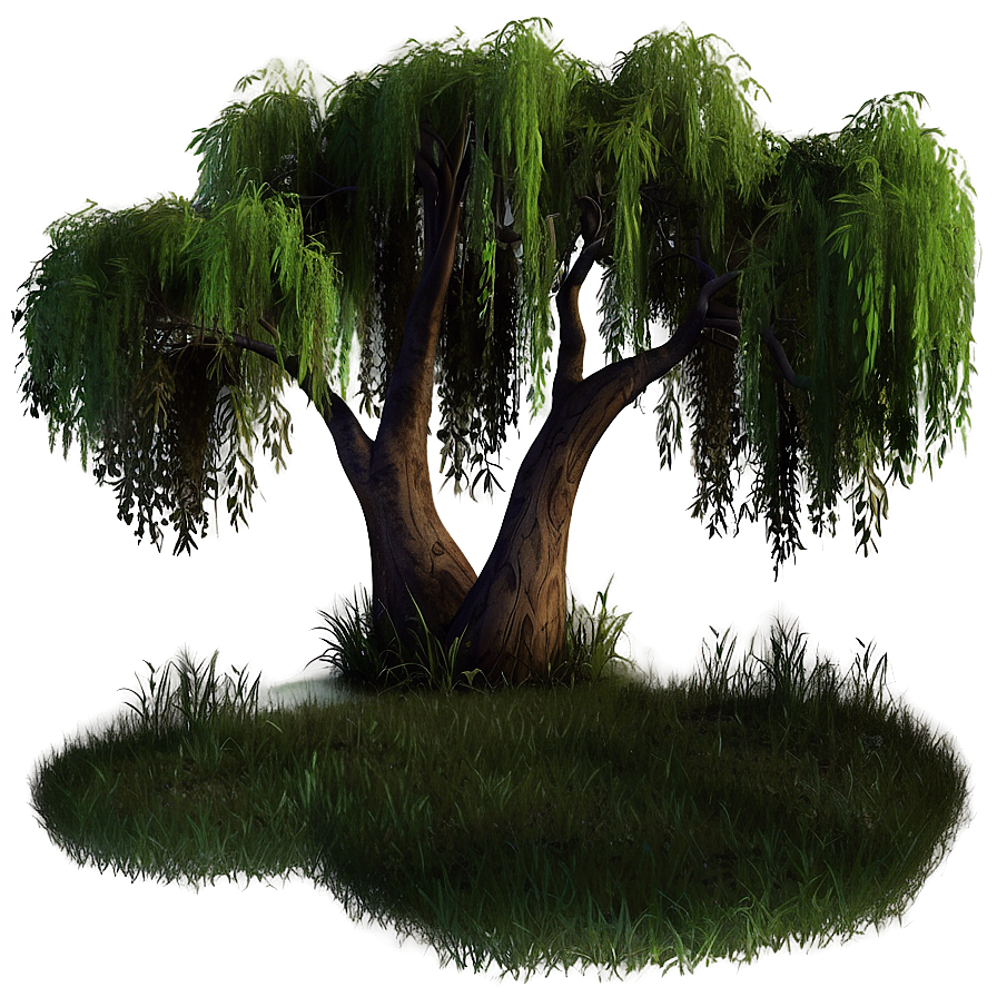 Serene Willow Trees Png Qfe