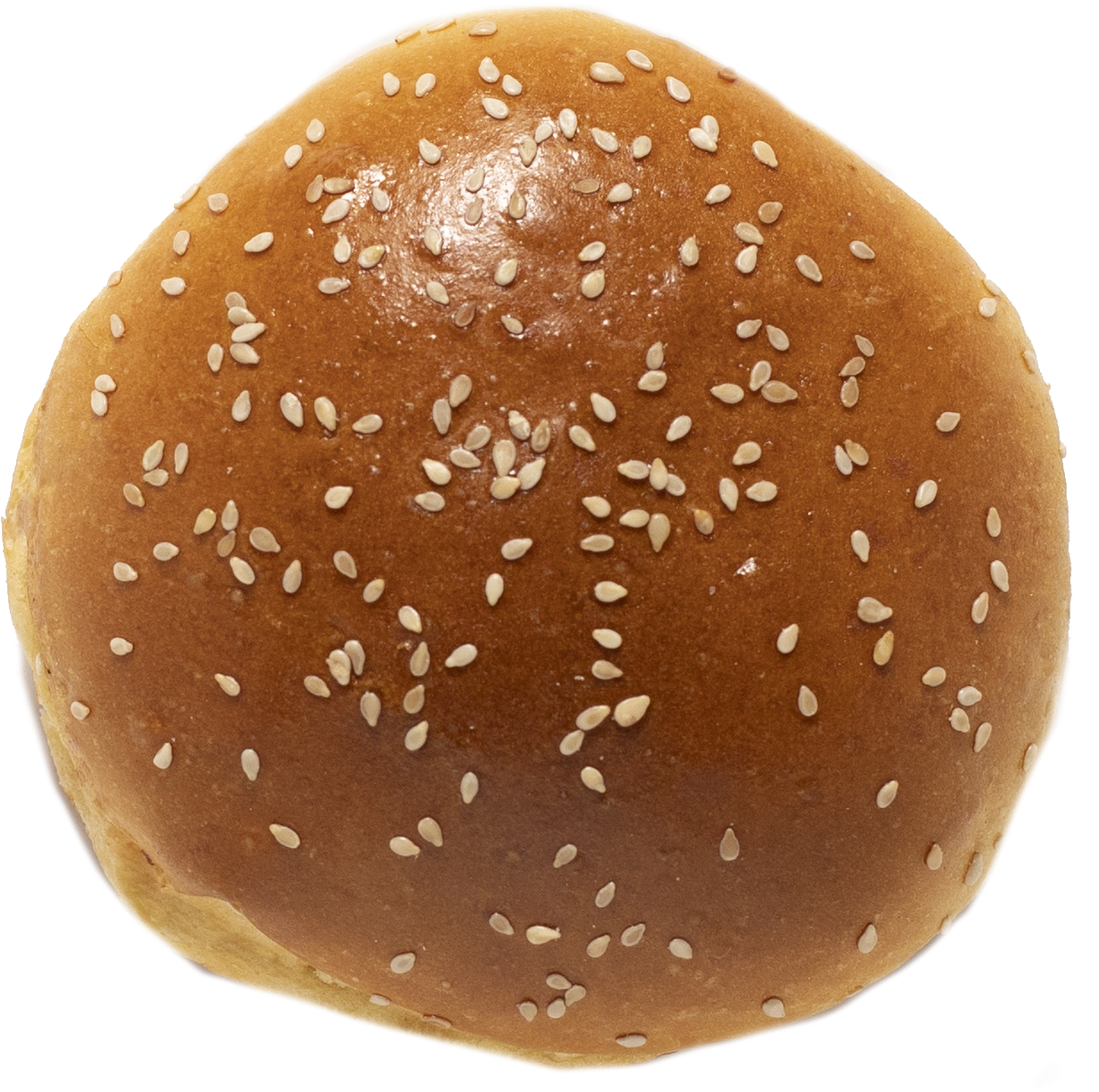 Sesame Seed Burger Bun Top View