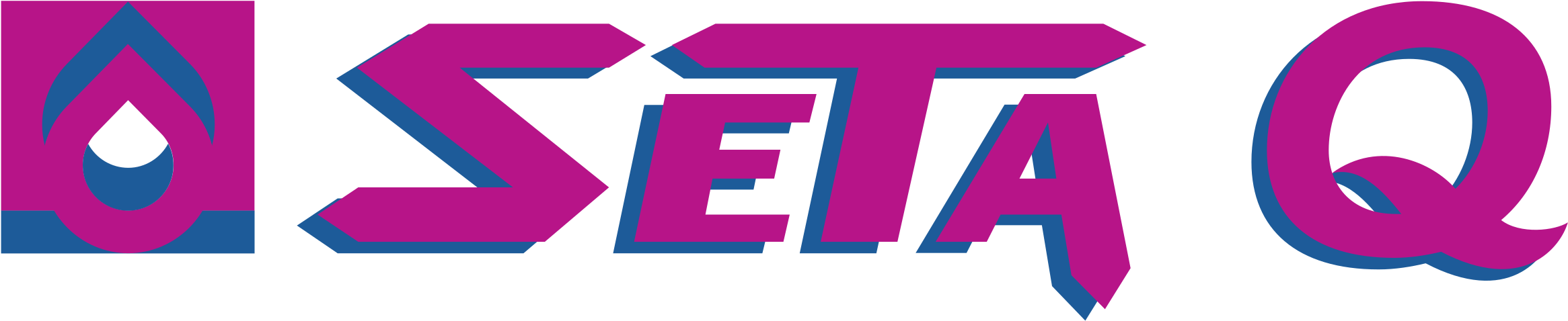 Seta Logo Design