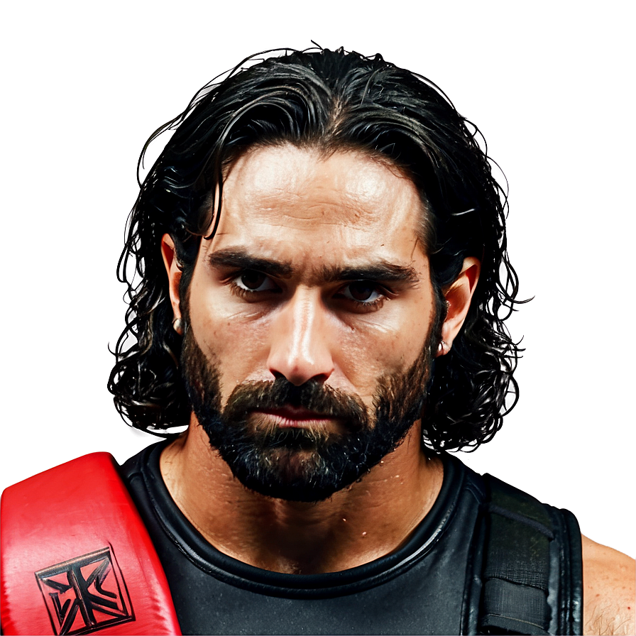 Seth Rollins Inspirational Quote Png Iid69