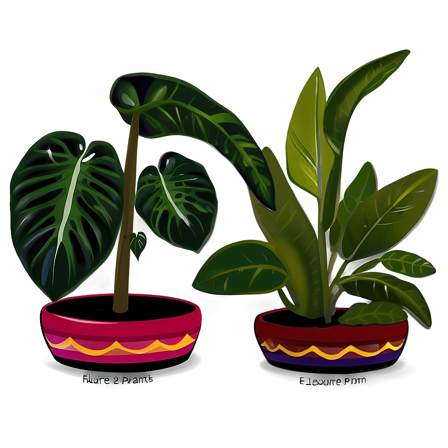 Shade Loving Plants Png 13