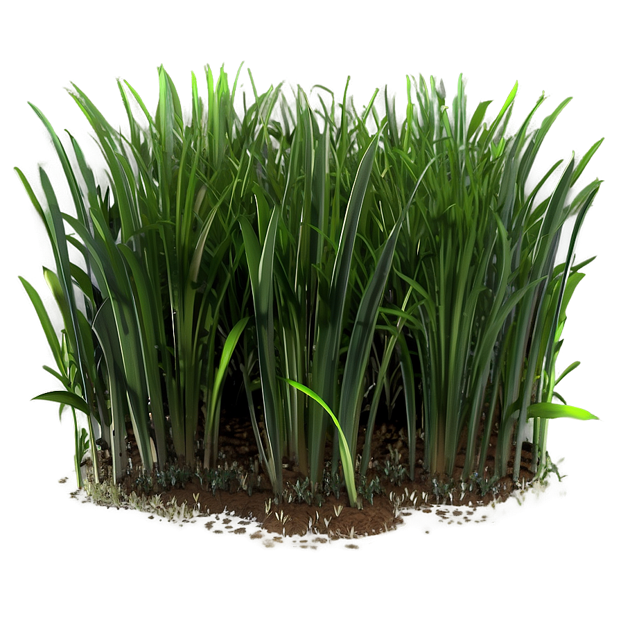 Shaded Grass Patch Png Iml6