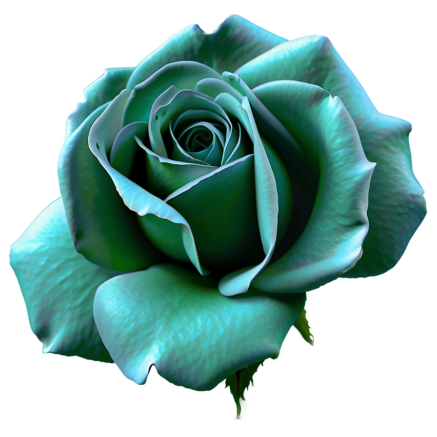 Shaded Rose Png Cdy86