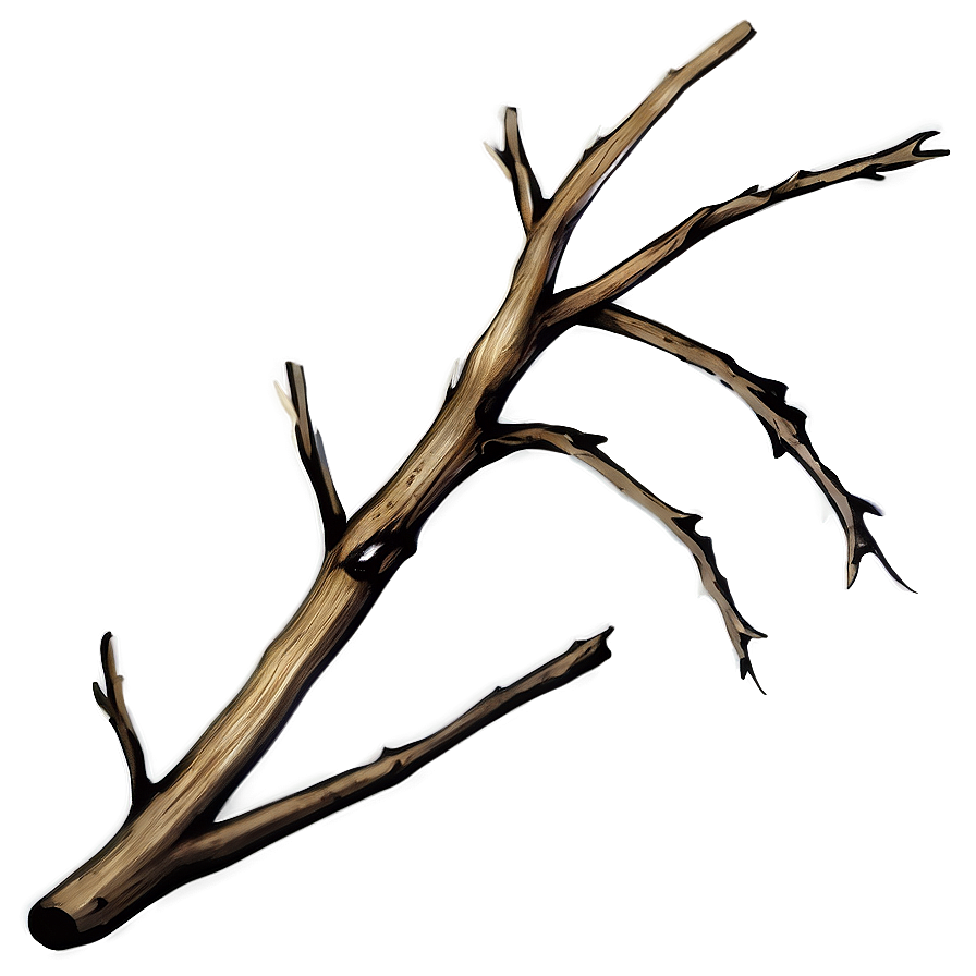 Shadowed Twig Png 06132024