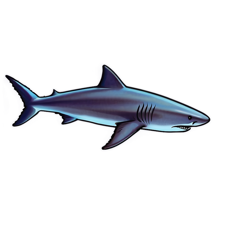 Shark Illustration Png 05032024