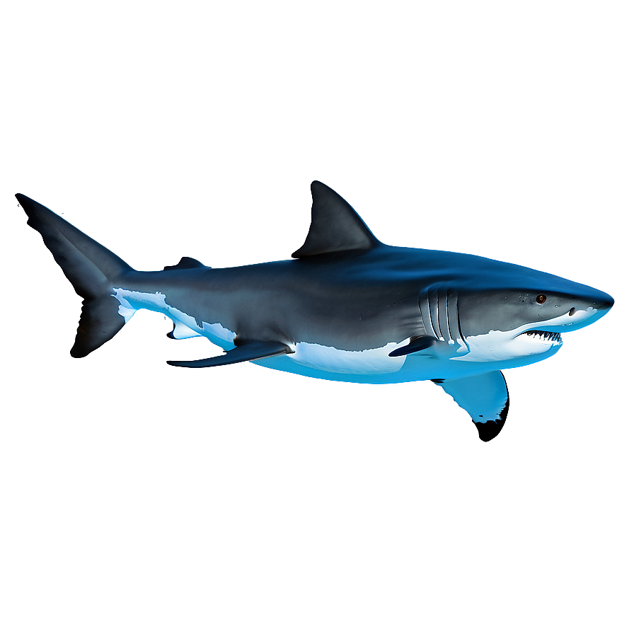 Shark In Water Png 28