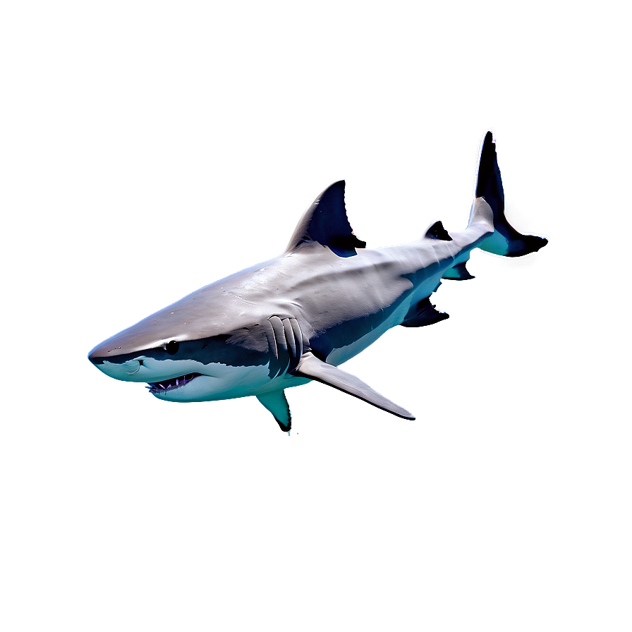 Shark In Water Png 57