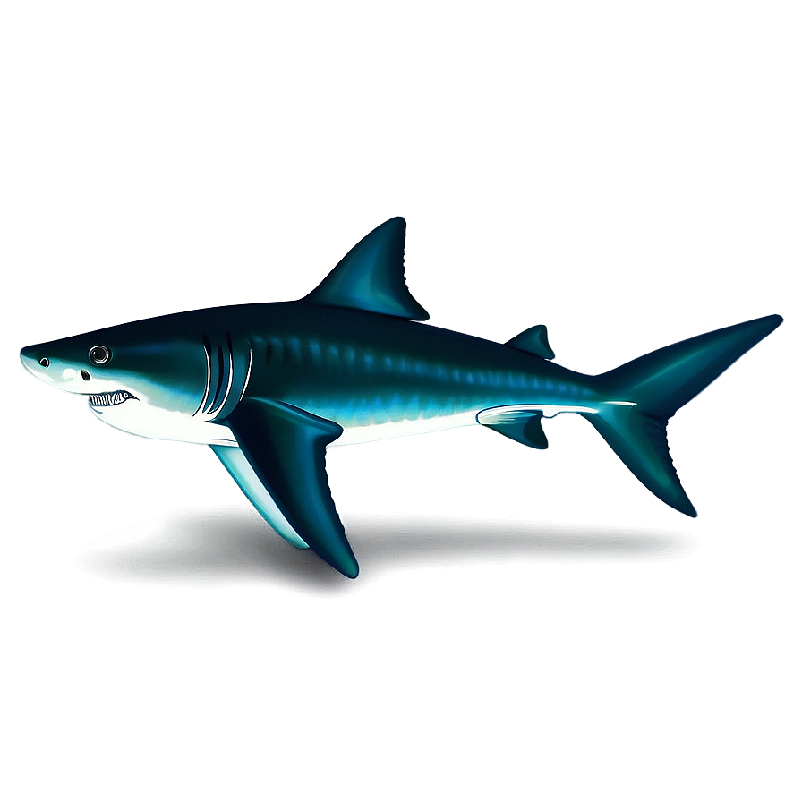 Shark Jaw With Teeth Png 93