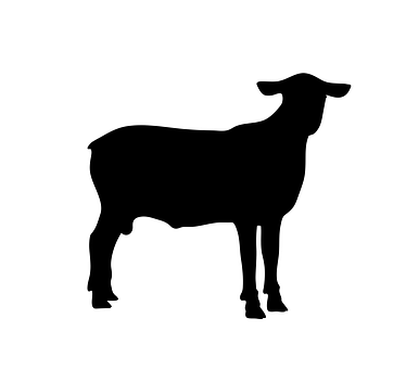 Sheep Silhouette Graphic