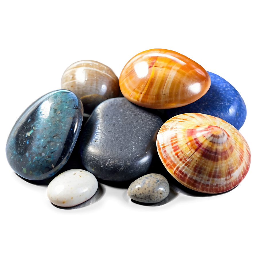 Shell And Beach Pebbles Png Sqs