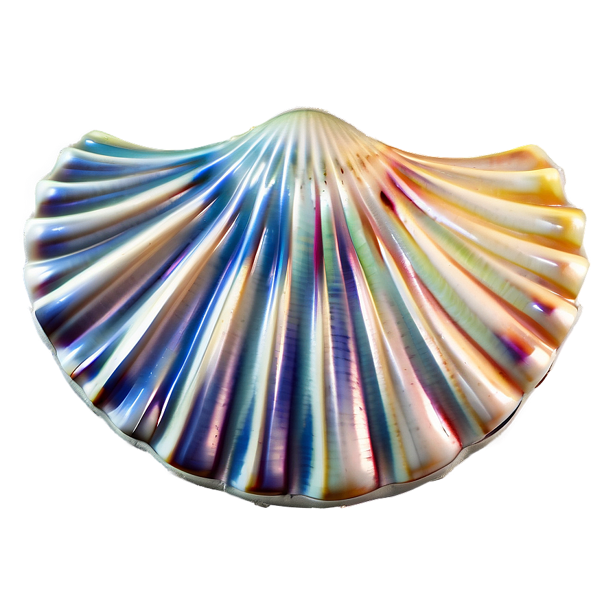 Shell In Ocean Breeze Png Rob34