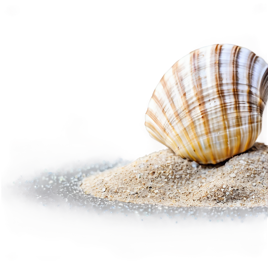 Shell In Sand Png Nwy18