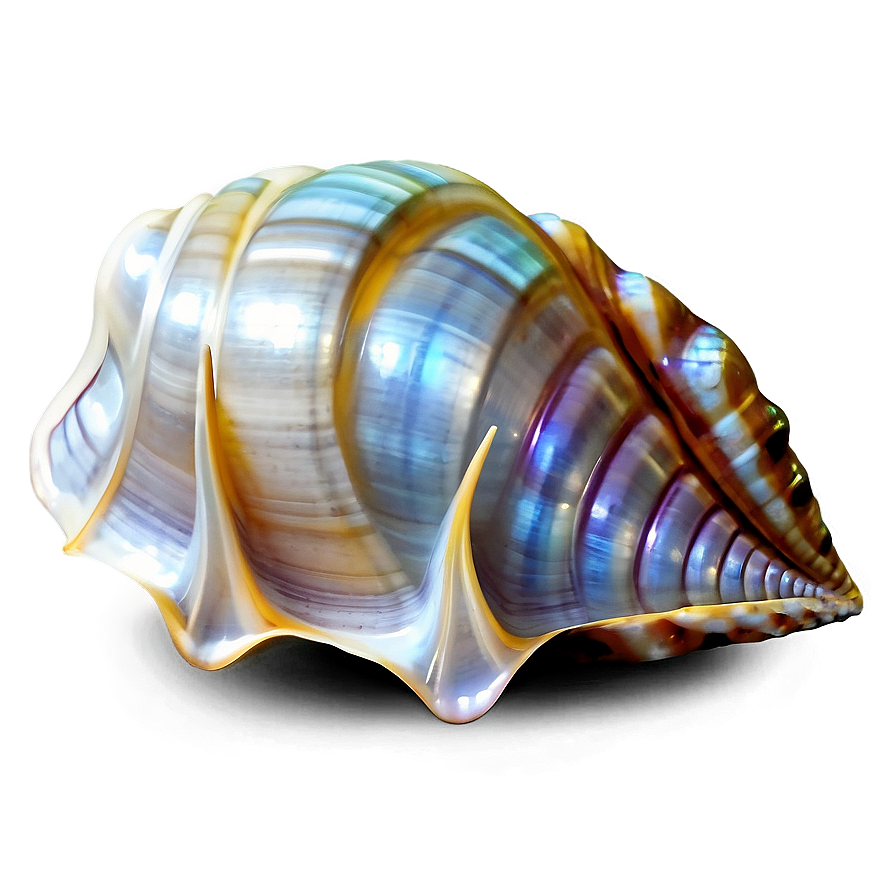 Shell With Pearl Png 05212024