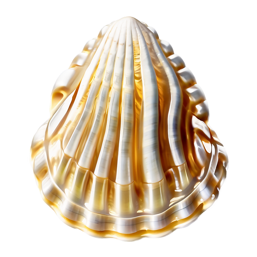 Shell With Waves Png 05212024