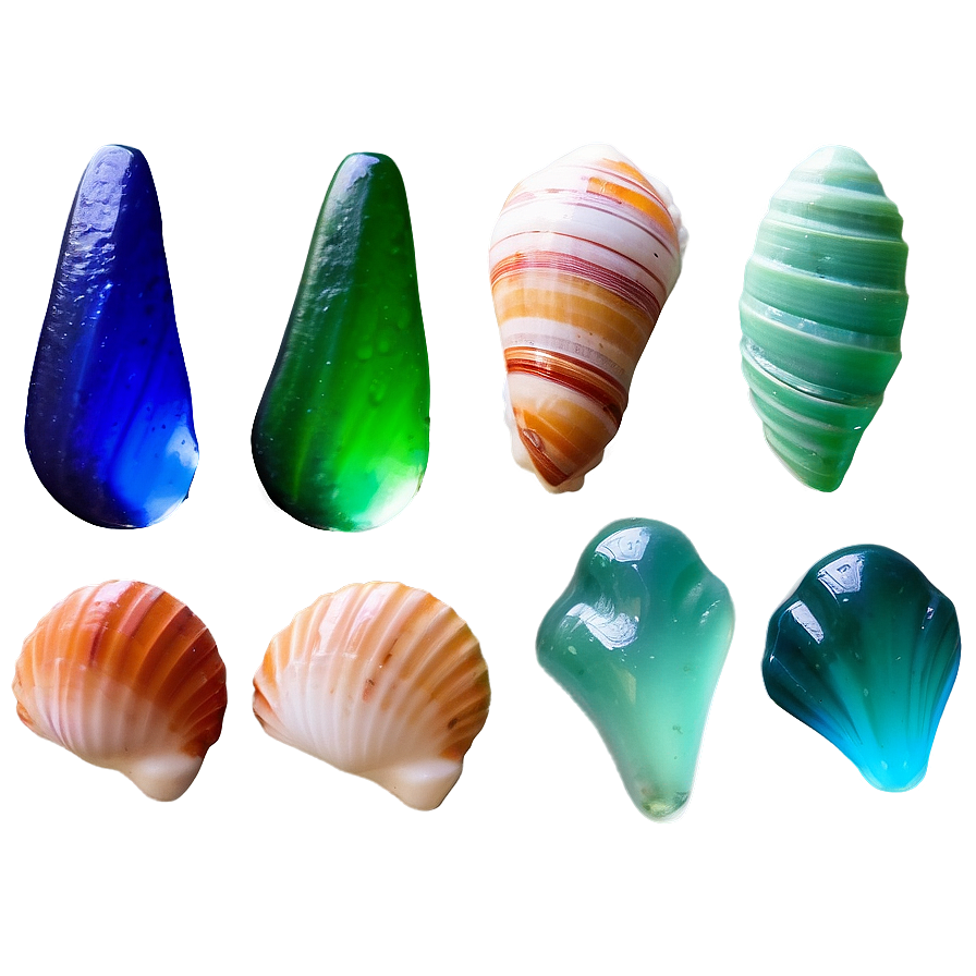 Shells And Seaglass Png Lmt